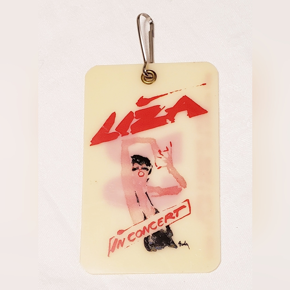 Liza Minelli TOUR Luggage Tag - Picture 2 of 3